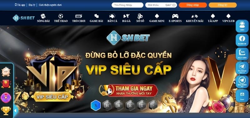 Quyền lợi khi trở thành thành viên VIP của Shbet